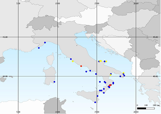 地中海クラゲ - ブルーボタン (Porpita porpita)